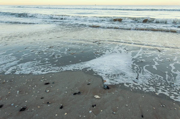 Sandy Beaches Rimini Shortly Dawn Winter — Stock Photo, Image