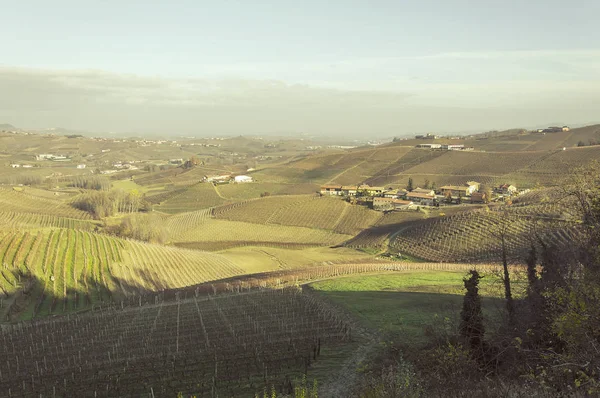 Vista Panorámica Los Campos Uva Recién Cosechados Otoño Valle Del —  Fotos de Stock