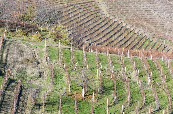 Vista Panorâmica Dos Campos Uvas Recém Colhidos Outono Vale Barolo — Fotografia de Stock