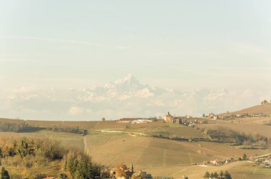 Wonderful view of the grape fields in autumn in Barolo valley with Monviso mountain in the background clipart