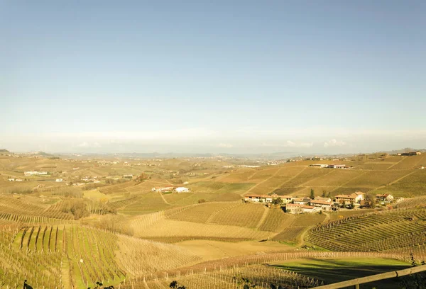 Blick Auf Die Frisch Geernteten Weinfelder Herbst Barolo Tal — Stockfoto