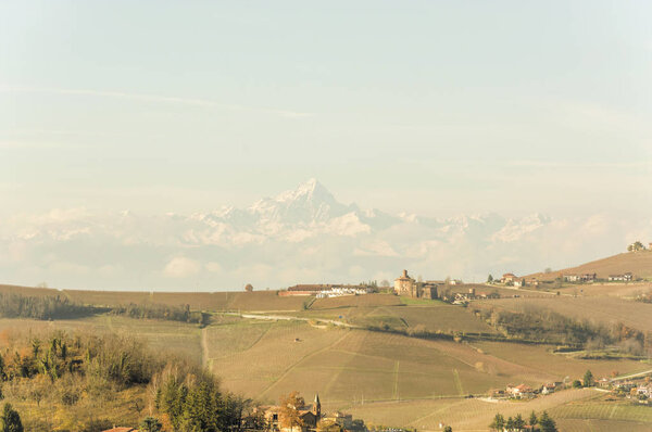 Wonderful view of the grape fields in autumn in Barolo valley with Monviso mountain in the background