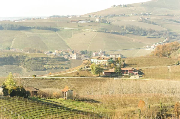 Festői Kilátással Frissen Betakarított Szőlő Mezők Őszén Barolo Völgyben — Stock Fotó