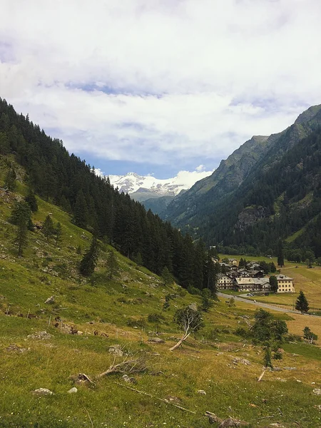 Vue Panoramique Vallée Gressoney Été Près Monte Rosa — Photo