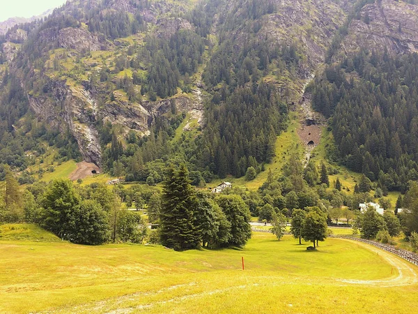 Vista Uma Floresta Vale Gressoney Perto Monte Rosa — Fotografia de Stock