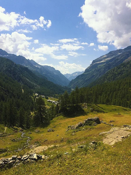 Panoramatický Výhled Údolí Gressoney Létě Monte Rosa — Stock fotografie