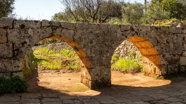 Olivenbäume Der Landschaft Von Ostuni Salento Adriatischen Meer — Stockfoto