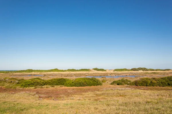 Coastal Dune Natural Park Coastline Ostuni Salento Adriatic Sea — Stock Photo, Image