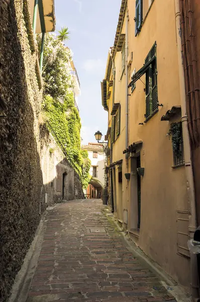 Pequeño Callejón Pueblo Medieval Provenzal Roquebrune Cap Martin Riviera Francesa — Foto de Stock