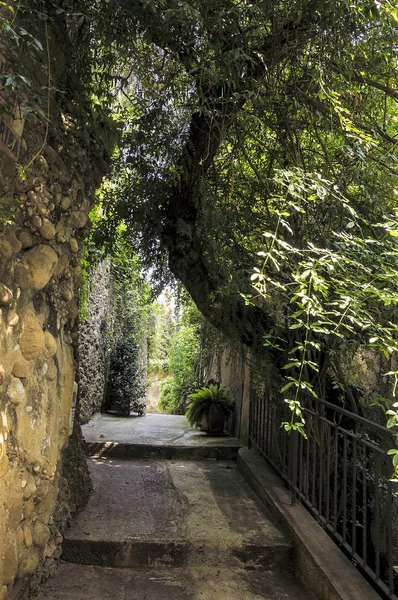 Pequeno Beco Vila Medieval Provençal Roquebrune Cap Martin Riviera Francesa — Fotografia de Stock
