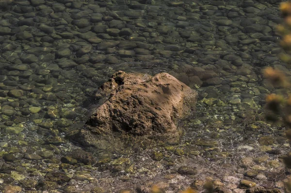 Seacoast Roquebrune Cap Martin Letnie Dni — Zdjęcie stockowe