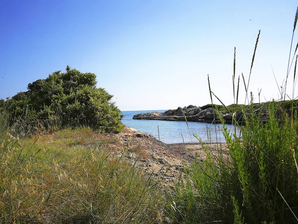 Seacoast Poblíž Villanova Marina Ostuni Salento Itálie — Stock fotografie