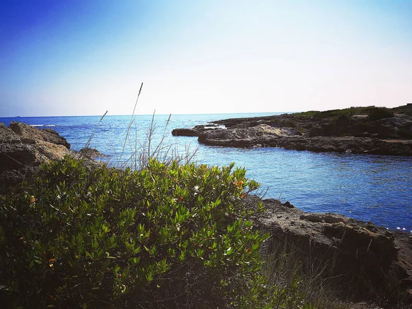 Wybrzeża Pobliżu Villanova Marina Ostuni Salento Włochy — Zdjęcie stockowe