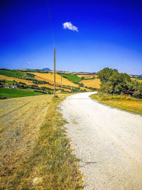 Country road in the Marche Region on the Adriatic Sea, Italy clipart