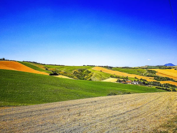 Champs Cultivés Sur Les Collines Région Des Marches Sur Mer — Photo