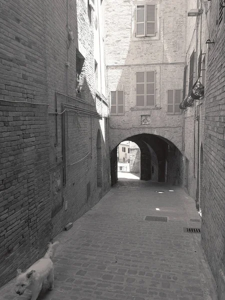 Callejuelas Arcos Centro Medieval Recanati Italia — Foto de Stock