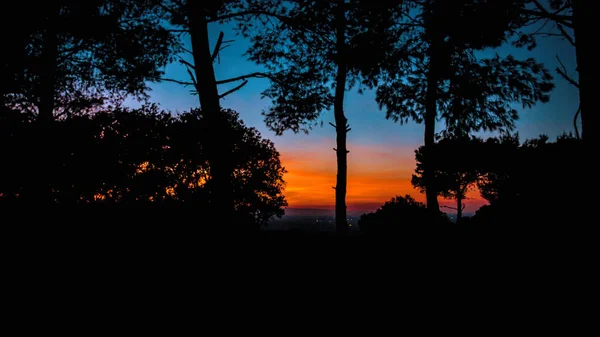 Prachtige Zonsondergang Heuvels Tussen Ostuni Cisternino Tussen Maritieme Dennen — Stockfoto