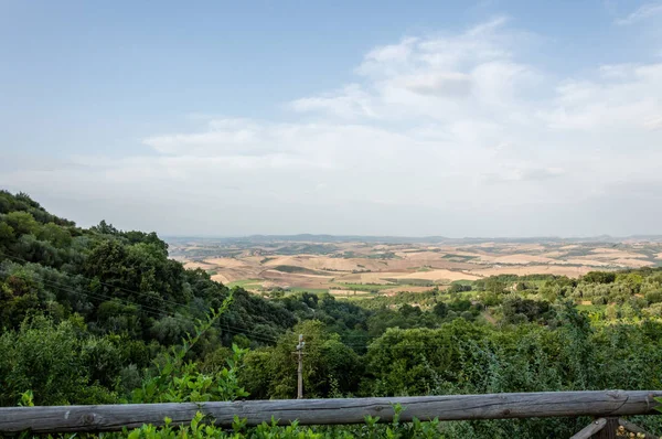 Montalcino Toscana Italia Julio 2016 Vista Panorámica Los Campos Uva — Foto de Stock