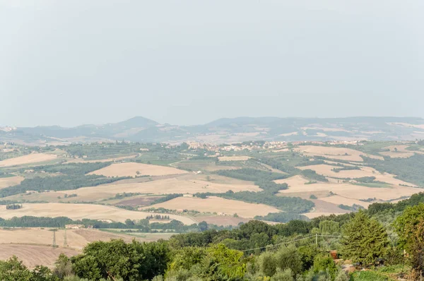 Montalcino Toscana Italia Julio 2016 Vista Panorámica Los Campos Uva — Foto de Stock