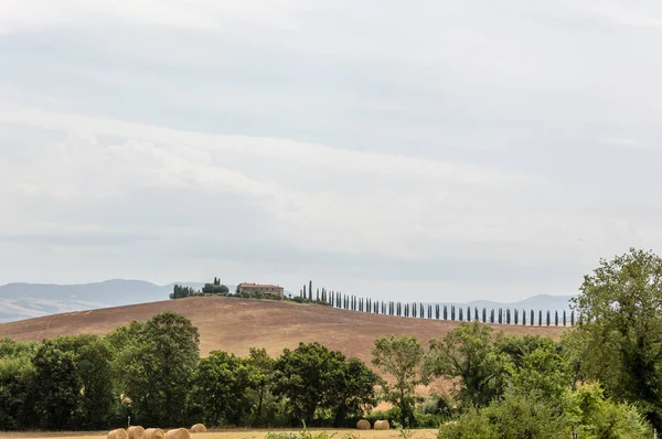 Castelnuovo Dell Abate Toskánsko Itálie Scénický Pohled Obdělaných Polí Létě — Stock fotografie