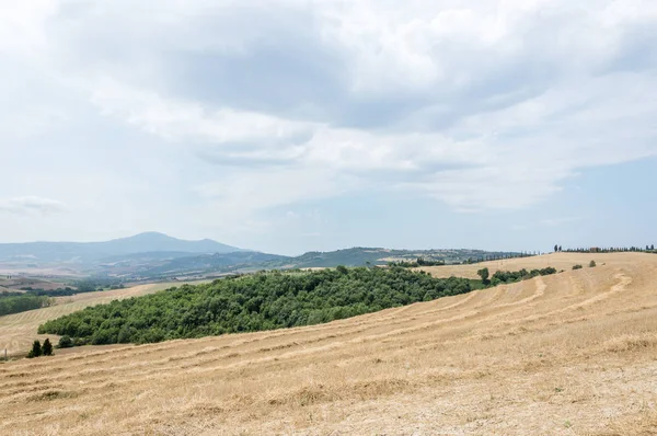 Pienza Toscana Italia Julio 2016 Vista Panorámica Los Campos Cultivados — Foto de Stock