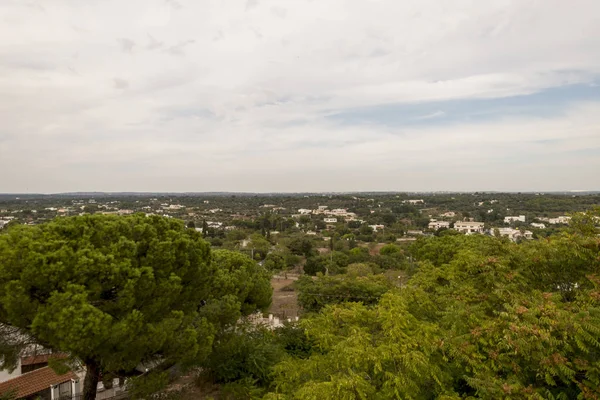 Panoramautsikt Över Olivträd Fält Salento Italien — Stockfoto