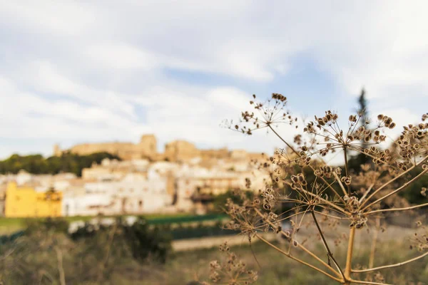 Medieval Castle Oria Salento Italy — Stock Photo, Image