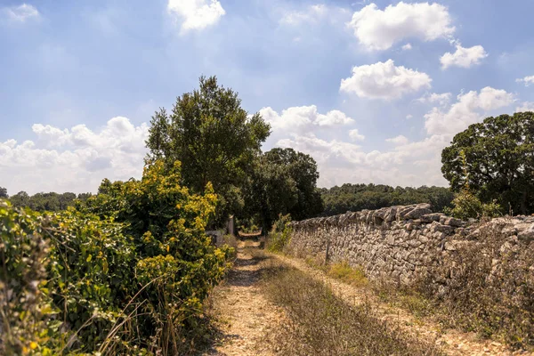 Campo Valle Ditria Cerca Cisternino Locorotondo Martina Franca —  Fotos de Stock