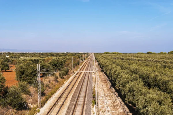 Fasano Italië September 2018 Railroad Van Spoorlijn Van Route Tussen — Stockfoto