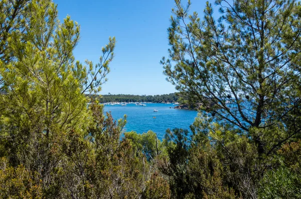 Côté Mer Cap Bénat Près Lavandou Bormes Les Mimosas Sur — Photo