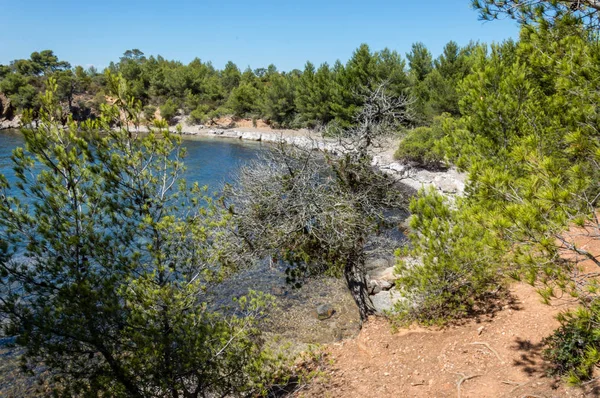 Seacoast Benat Wpr Pobliżu Lavandou Bormes Les Mimosas Francuskiej Riwierze — Zdjęcie stockowe