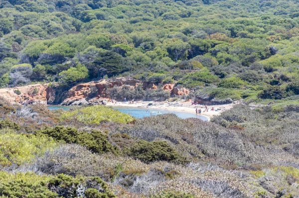 Березі Моря Влітку Острів Porquerolles — стокове фото
