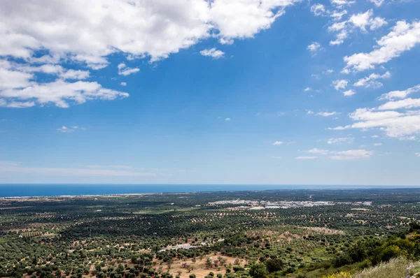 Panoramiczny Widok Drzewa Oliwne Zwykły Przed Ostuni — Zdjęcie stockowe