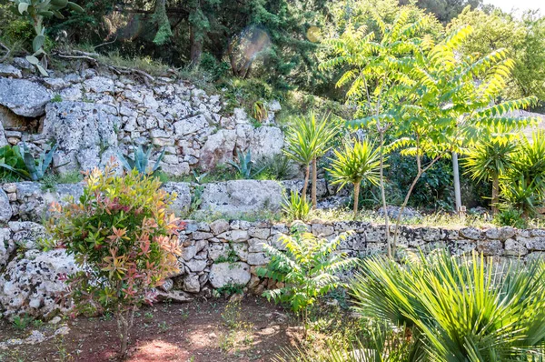 Peaceful life in a mediterranean garden in southern Italy