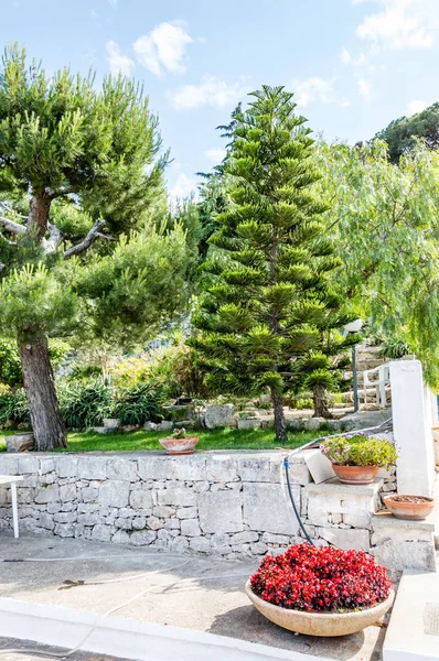 Peaceful life in a mediterranean garden in southern Italy