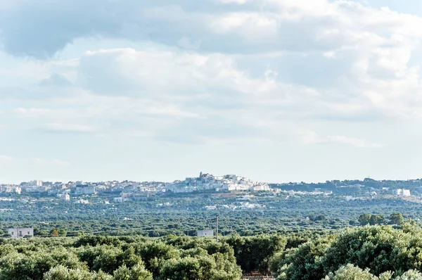 Panoramatický Pohled Prostý Před Ostuni Olivovníků — Stock fotografie