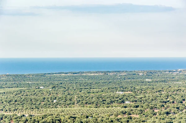 Vista Panorâmica Planície Das Oliveiras Frente Ostuni — Fotografia de Stock