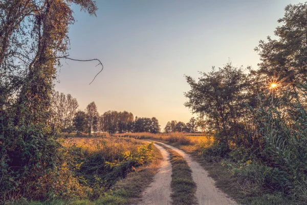 夕暮れ Lomellina 国未舗装の道路 — ストック写真