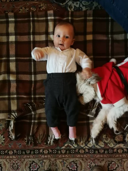 Newborn Lying Blanket Doggie Dressed Santa Claus — Stock Photo, Image