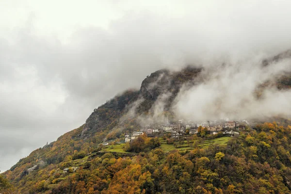 Bosque Brumoso Valle Gressoney Cerca Monte Rosa Durante Otoño — Foto de Stock