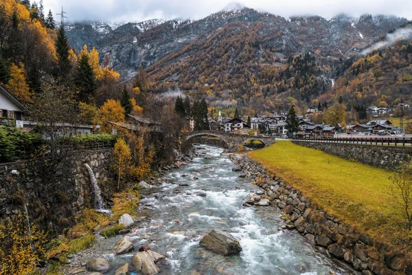 Bosque Brumoso Valle Gressoney Cerca Monte Rosa Durante Otoño — Foto de Stock