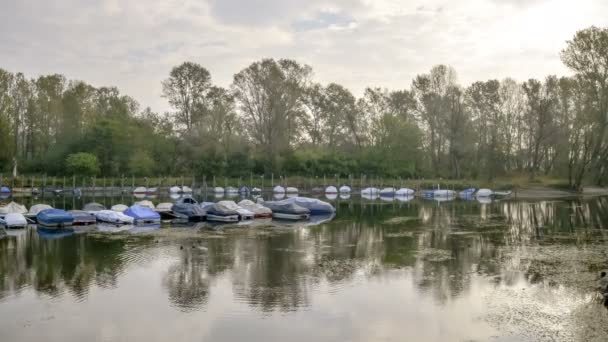 Enten Schwimmen Und Boote Der Lanca Ayala Vigevano Auf Dem — Stockvideo