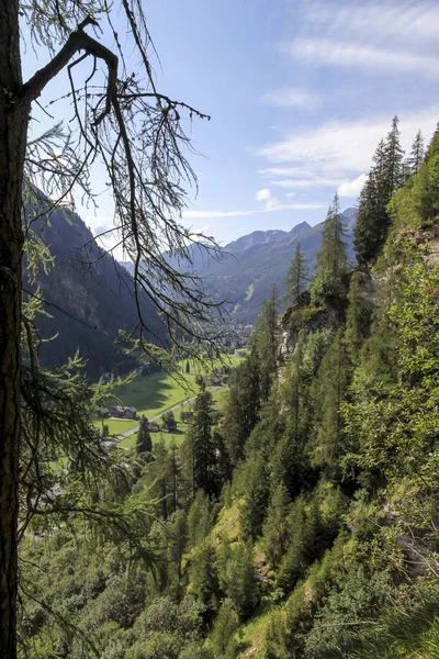 Альпийский Лес Долине Грессони Недалеко Монте Розы — стоковое фото