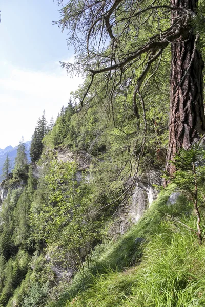 Alpine Hout Gressoney Vallei Buurt Van Monte Rosa — Stockfoto