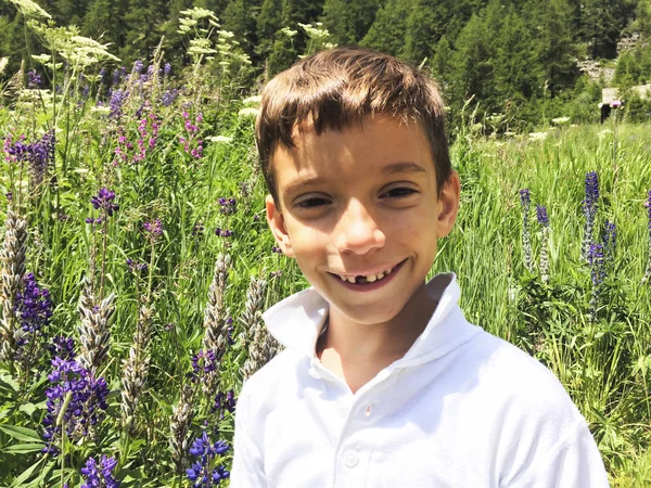 Niño Caminando Una Ruta Senderismo Bosque Los Alpes Verano — Foto de Stock