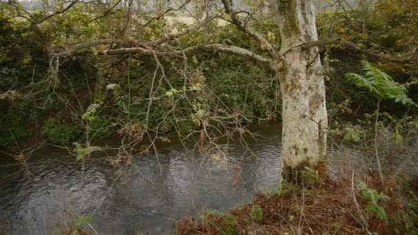 Névoa Subindo Uma Vala Irrigação Parque Natural Durante Outono — Vídeo de Stock