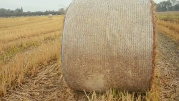 Hooibalen Het Platteland Lomellina Tijdens Herfst — Stockvideo