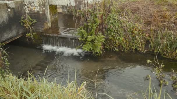 Névoa Subindo Uma Vala Irrigação Parque Natural Durante Outono — Vídeo de Stock