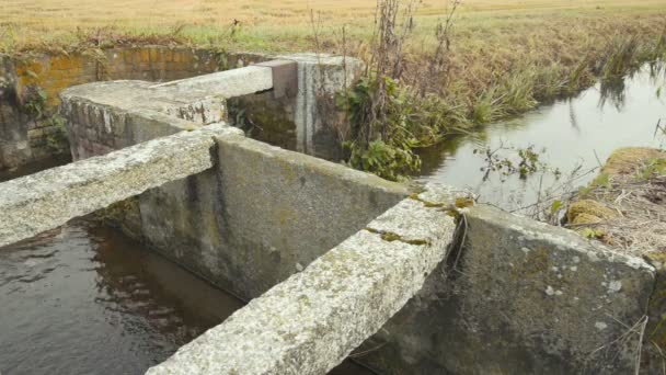 Névoa Subindo Uma Vala Irrigação Parque Natural Durante Outono — Vídeo de Stock