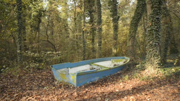 Des Bateaux Abandonnés Échoués Dans Une Forêt Dans Parc Naturel — Video
